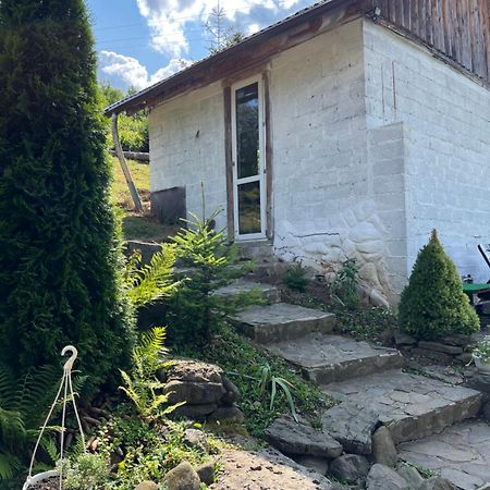 Zelenyj Raj Villa Pashkivtsi  Bagian luar foto
