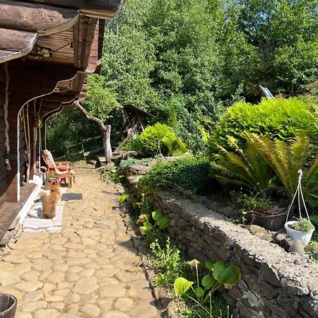 Zelenyj Raj Villa Pashkivtsi  Bagian luar foto