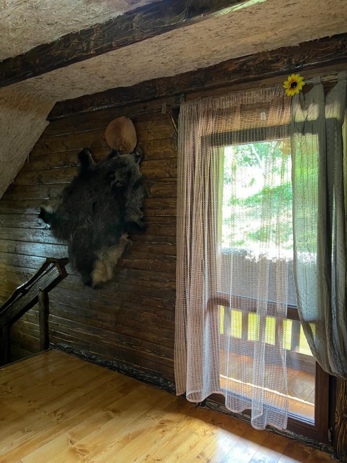 Zelenyj Raj Villa Pashkivtsi  Bagian luar foto