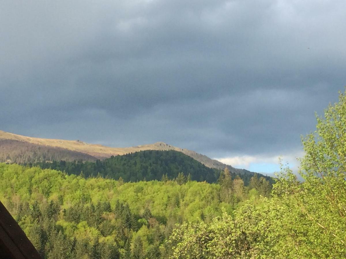 Zelenyj Raj Villa Pashkivtsi  Bagian luar foto